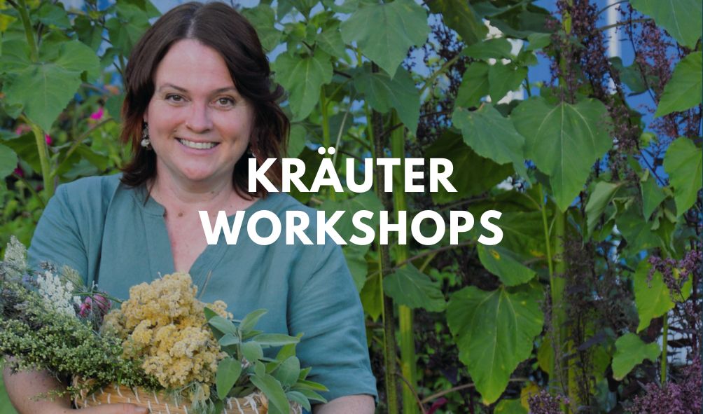 Ankuender Online Kurs Hausapotheke