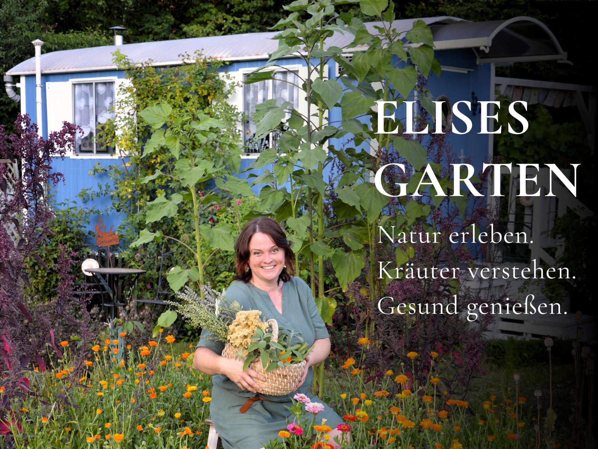 Elises Garten  Natur erleben. Kräuter verstehen. Gesund genießen.