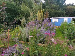 Elises Garten im Sommer 2023